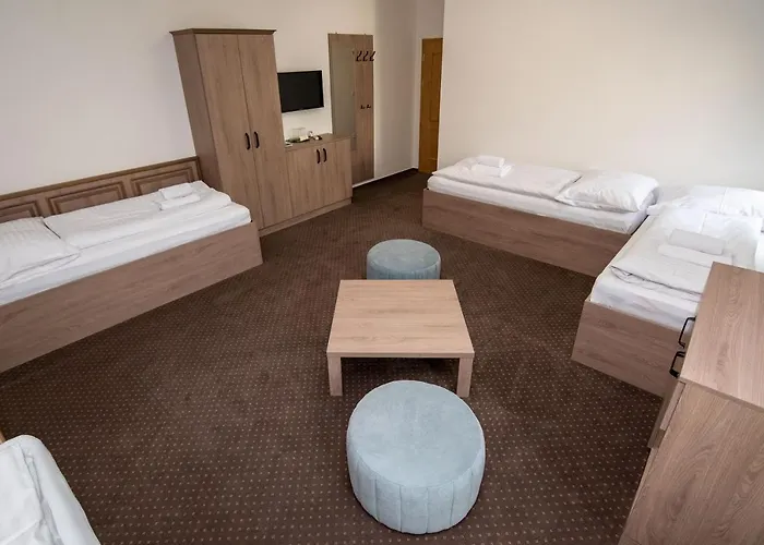 Elux Pensionat 3*